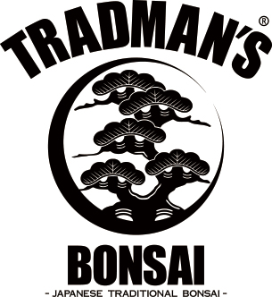 TRADMAN'S BONSAI