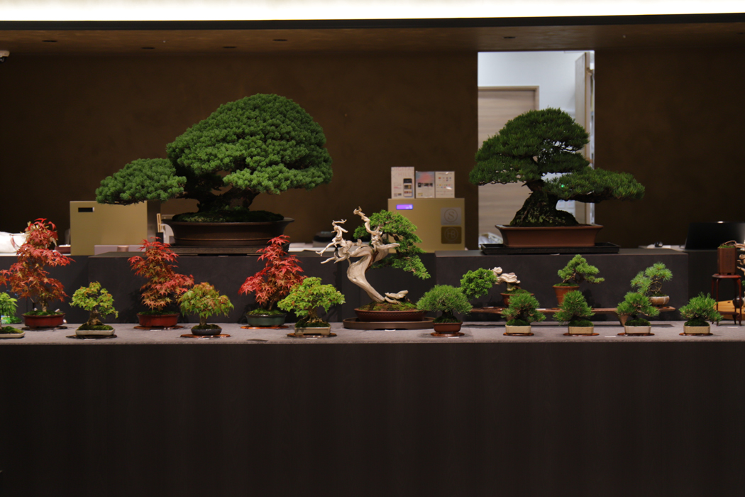 TRADMAN'S BONSAI OFFICIAL SITE