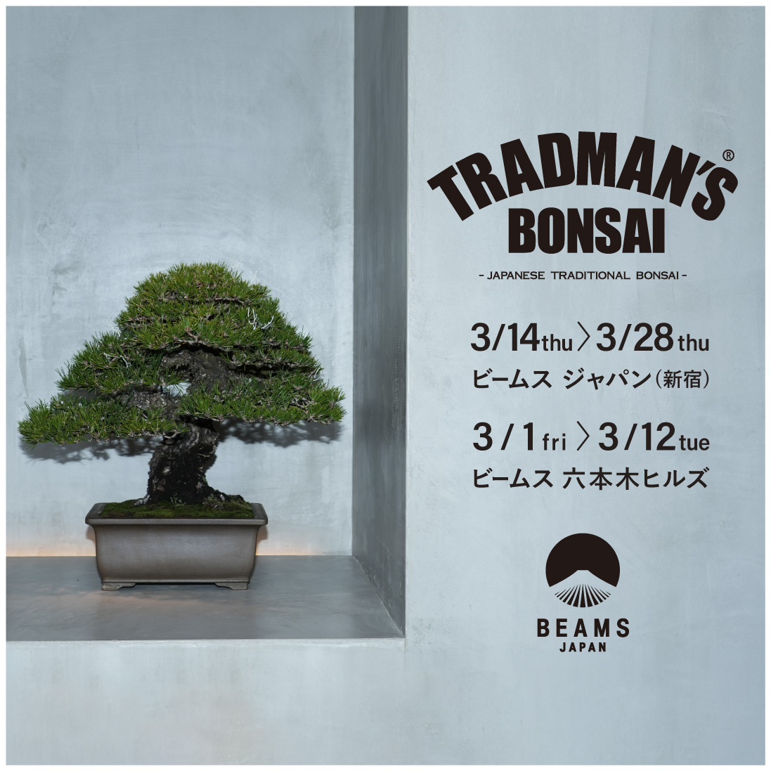 TRADMAN'S BONSAI OFFICIAL SITE