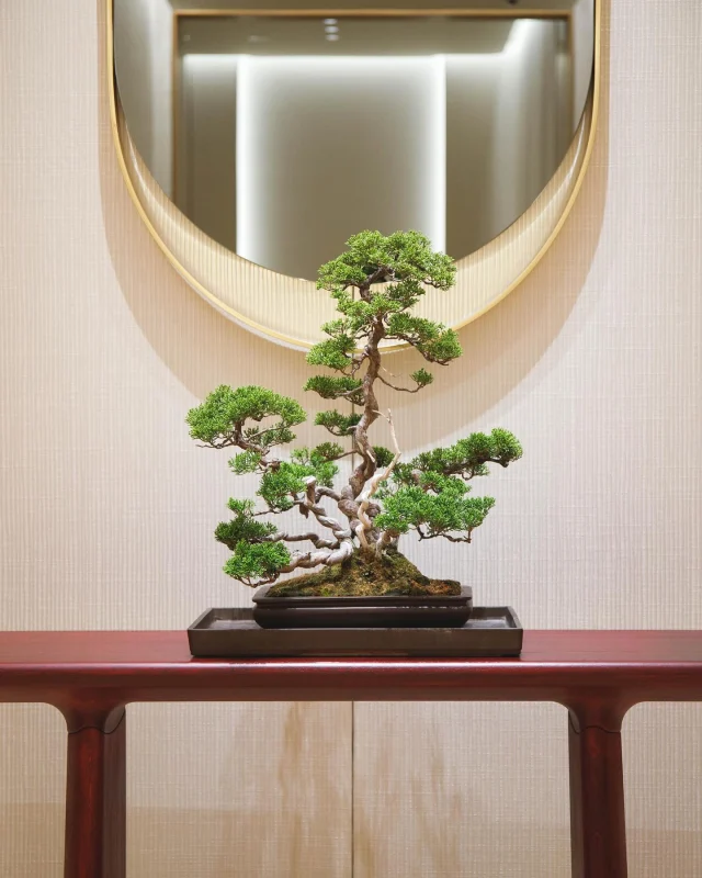 LEASE｜盆栽リースサービス